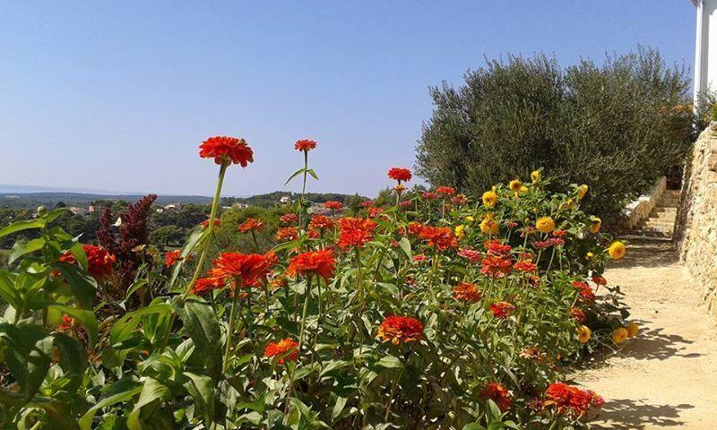 Villa Mora Banjol Oda fotoğraf