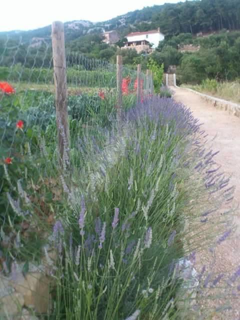 Villa Mora Banjol Oda fotoğraf