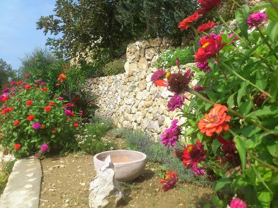 Villa Mora Banjol Dış mekan fotoğraf