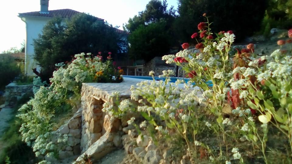 Villa Mora Banjol Dış mekan fotoğraf
