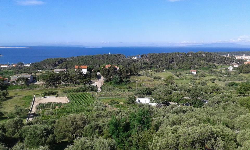 Villa Mora Banjol Dış mekan fotoğraf